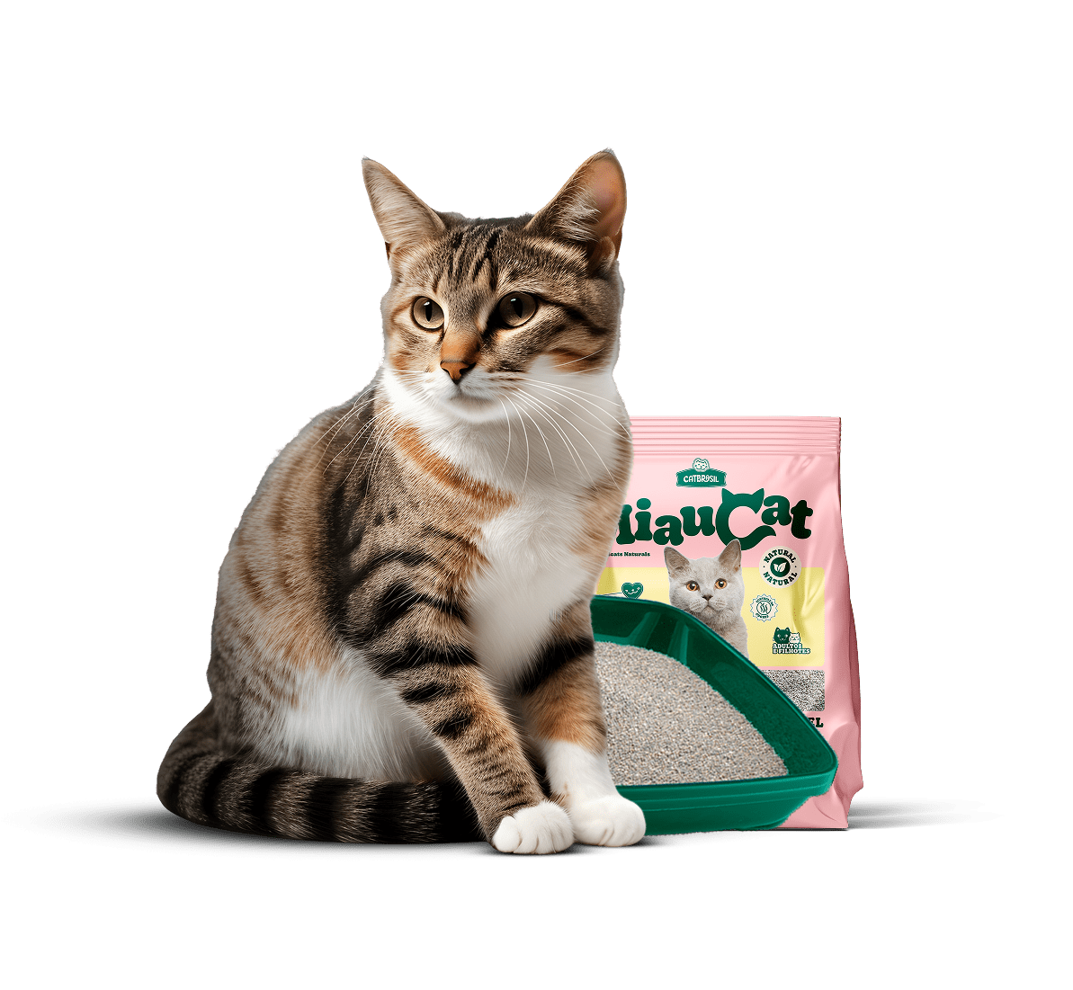 Gato com areia higiênica Cat Brasil